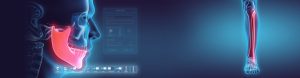 slider_hasp